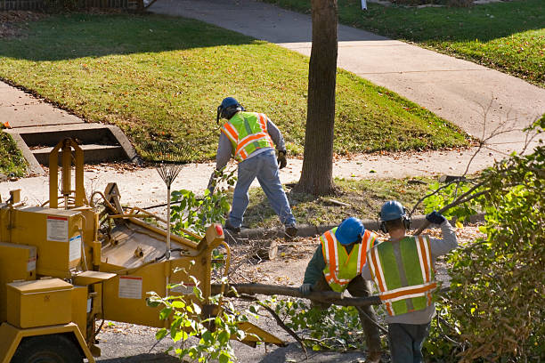 Best Grass Overseeding  in Mobile, AL